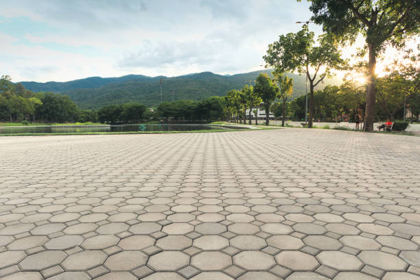 Best Local Driveway Pavers  in Lincoln, AR