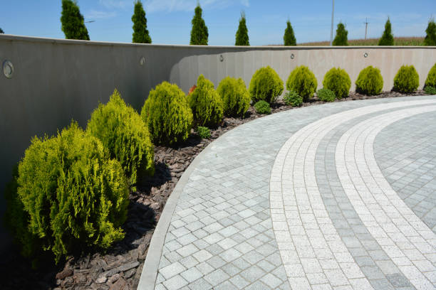 Best Driveway Paving Contractor  in Lincoln, AR